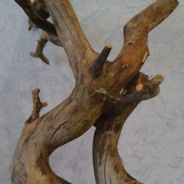 Фото Татьяна